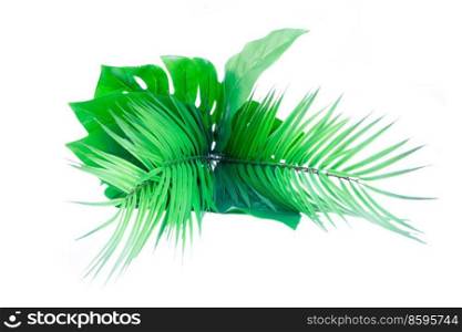 Bunch of fresh tropical leaves isolated on white background. Bunch of fresh leaves