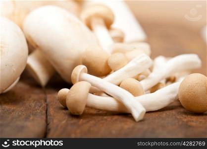 bunch of fresh wild mushrooms on a rustic wood table