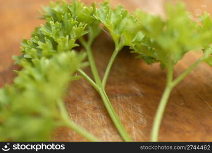 Bunch of freshly picked parsley (Petroselinum crispum) arranged on a wooden chopping board.