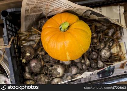 Bunch of garlic on a Big Pumpkin in an autumn country fair&#xA;