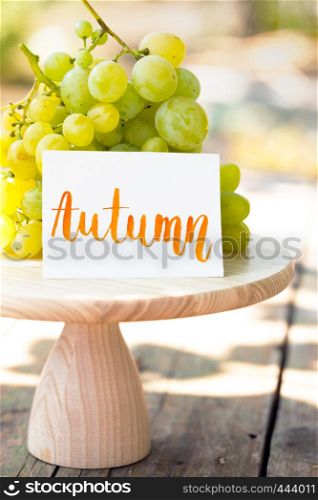 bunch of grapes - autumn still life with inscription autumn