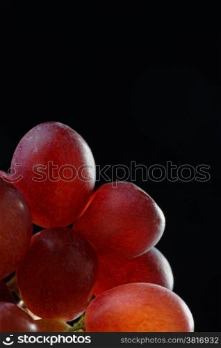 Bunch of grapes in close up with shallow depth of field. Black background