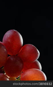 Bunch of grapes in close up with shallow depth of field. Black background