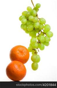 Bunch of grapes in drops of water and tangerines