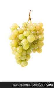 Bunch of grapes isolated on white background