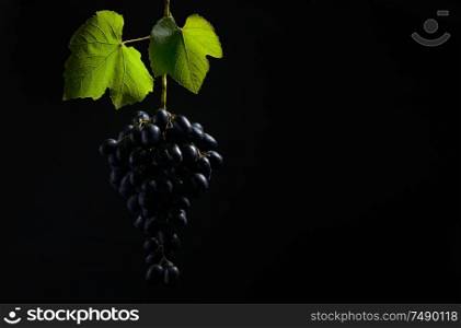 Bunch of grapes on black background in studio