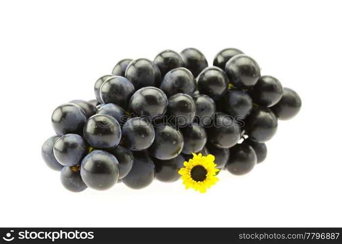bunch of grapes with a flower isolated on white