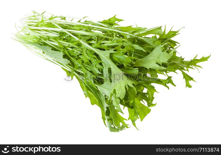 bunch of green mizuna (Japanese mustard greens) plant isolated on white background