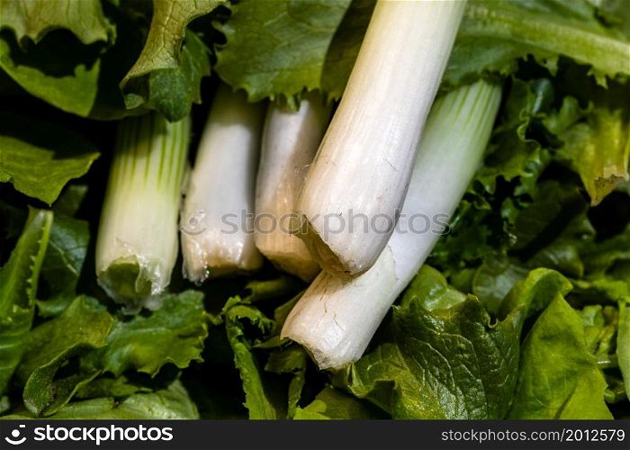 Bunch of green onions and green salad. Spring onions detail, healthy food concept