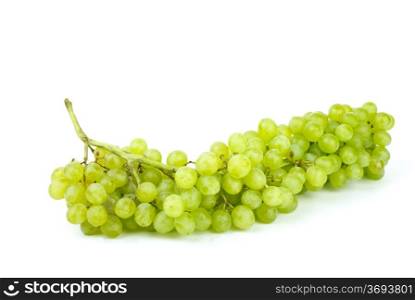 Bunch of green seedless grapes isolated on the white background