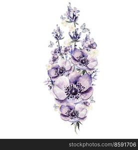 Bunch of lavender flowers, anemone. Watercolor illustration. Bunch of lavender flowers, anemone.