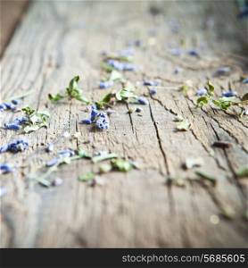 Bunch of lavender flowers on an old wood table