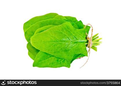 Bunch of leaves green spinach isolated on white background