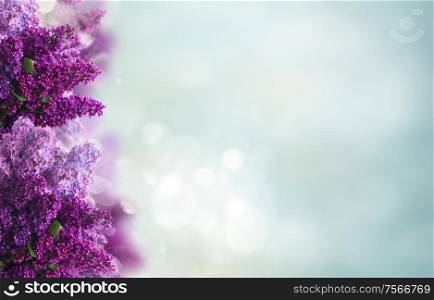 Bunch of Lilac fresh flowers frame over blue sky background with copy space. Lilac flowers on white