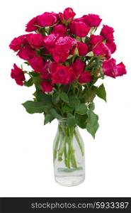 bunch of mauve roses in glass vase isolated on white background