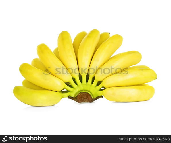 Bunch of mini bananas isolated on a white background