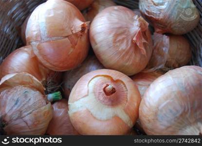 bunch of onions (essential ingredient for cooking)