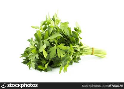 bunch of parsley. a bunch of parsley on a white background