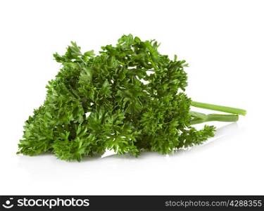 bunch of parsley isolated on white