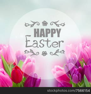 bunch of pink and purple tulip flowers on blue background with happy Easter greeting. bouquet of pink and purple tulip flowers