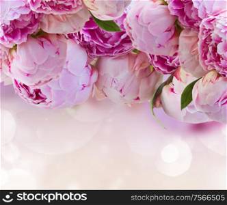 bunch of pink peony flowers on fancy bokeh background