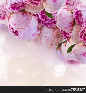 bunch of pink peony flowers on fancy bokeh background. pink peonies