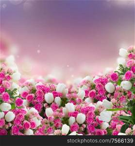 bunch of pink roses and white tulips flowers on bokeh background. bunch of roses and tulips flowers