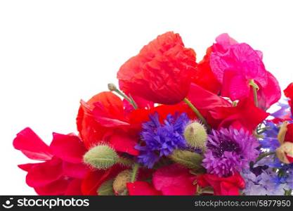 Bunch of poppy, sweet pea and corn flowers close up isolated on white background