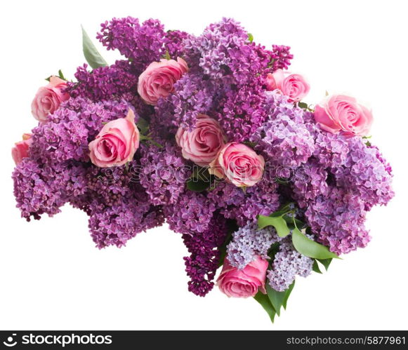 Bunch of purple Lilac flowers with pink roses isolated on white background. Lilac flowers