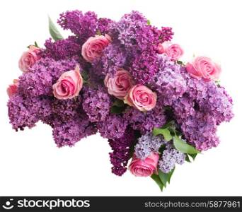 Bunch of purple Lilac flowers with pink roses isolated on white background. Lilac flowers