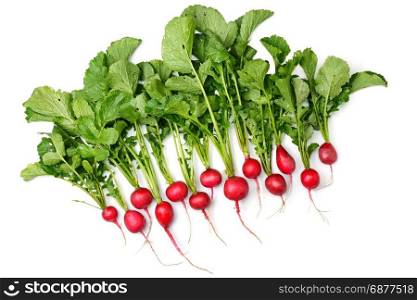 bunch of radish tubers isolated on white background. top view