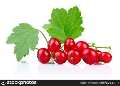 Bunch of red currants with green leaves isolated on white