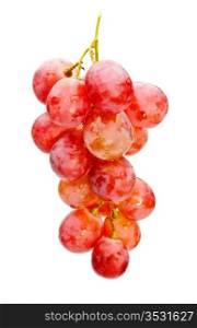 bunch of red grape isolated on white