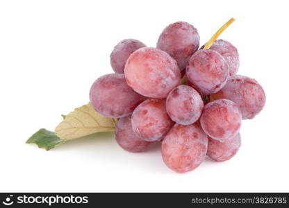 Bunch of red grapes , fresh with water drops. Isolated on white background.