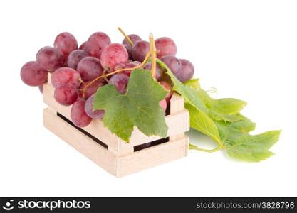 Bunch of red grapes , fresh with water drops. Isolated on white background.