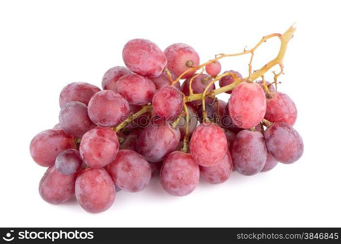 Bunch of red grapes , fresh with water drops. Isolated on white background.
