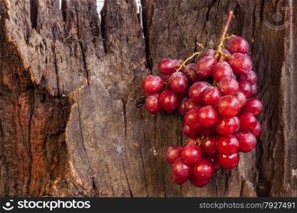 Bunch of red grapes hang on brown log