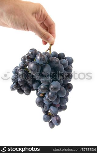 Bunch of red grapes in the hand isolated on white
