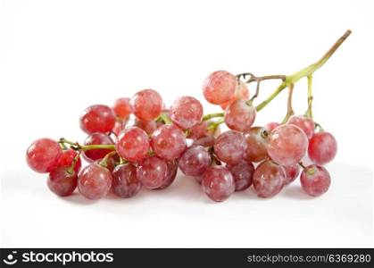 bunch of red grapes , wet and fresh