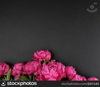 bunch of red peonies with green leaves on a black background, top view, copy space