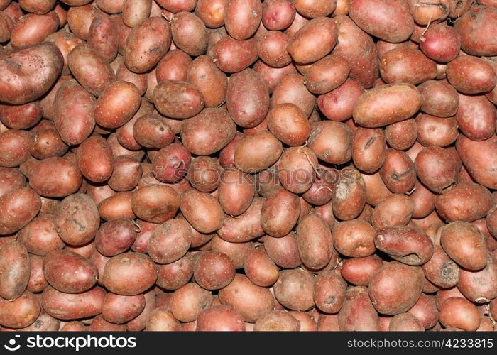 bunch of red potatoes forming an interesting texture