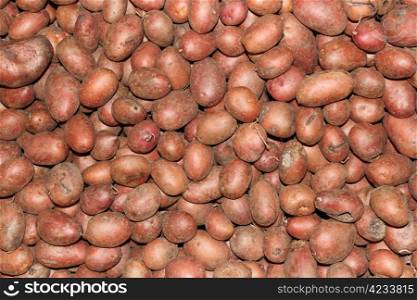 bunch of red potatoes forming an interesting texture