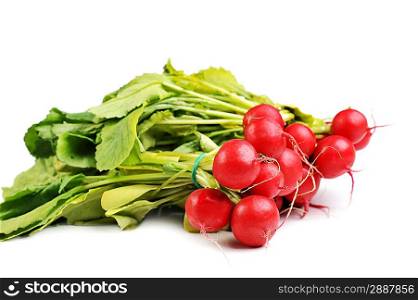 bunch of red radish with leaves, isolated on white
