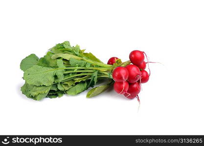 bunch of red radish with leaves, isolated on white