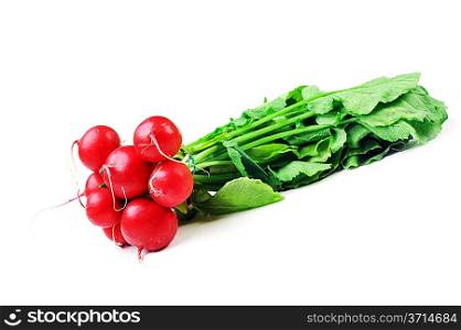 bunch of red radish with leaves, isolated on white