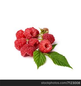 bunch of red ripe raspberries and green leaf on a white background, summer sweet crop, close up