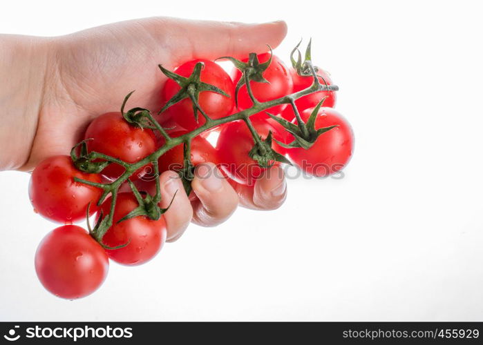 Bunch of red ripe tasty cherry tomatos in hand