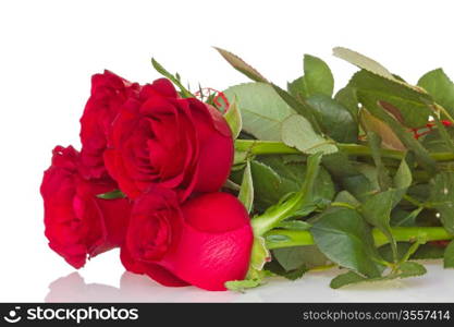 Bunch of red roses with reflection on white background