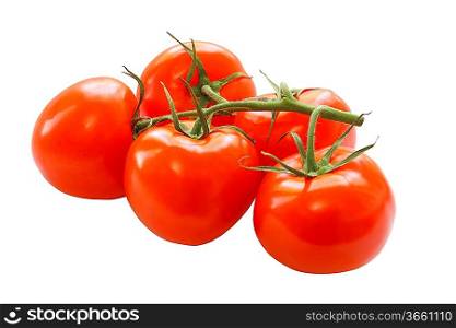 bunch of red tomatoes isolated on a white background