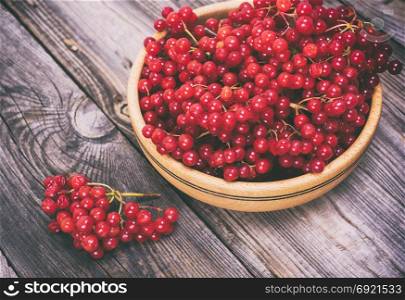 bunch of red viburnum in a wooden bowl on a gray table, top view